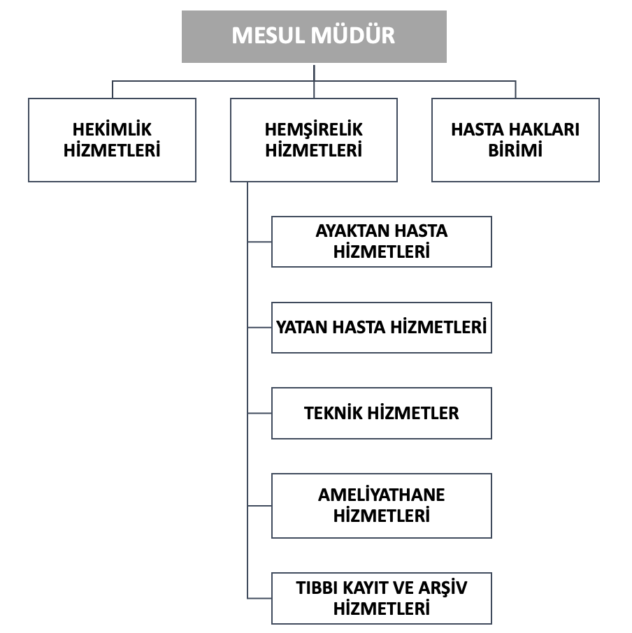 İdealtepe Göz Merkezi Organizasyon Şeması